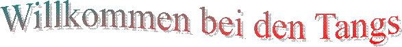 Willkommen bei den Tangs